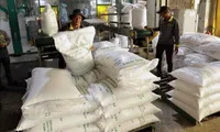 Vietnam’s rice exports remain stable despite import pauses by Philippines, Indonesia