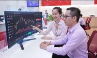 Vietnam's crypto market value tops 220 billion USD: Chainalysis