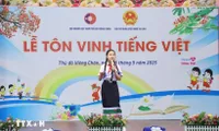 Vietnamese community in Laos honour mother tougue