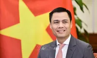 Hanoi Convention to be a milestone in Vietnam's multilateral diplomacy: Deputy FM