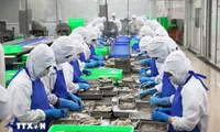 Vietnam’s seafood sector capitalises on FTAs