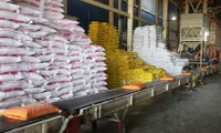 Vietnam exports 7 million tonnes of rice, earning nearly 3.59 billion USD