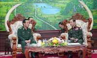 Vietnam, Laos strengthen cooperation in border protection