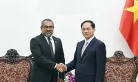 Vietnamese Deputy PM receives Maldivian Foreign Minister