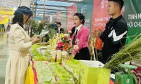 Autumn Fair 2025 showcases essence of Hanoi