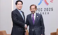 Vietnamese, Bruneian leaders pledge to promote practical development of bilateral ties