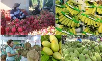 Vietnam’s fruit, vegetable exports exceed 7 billion USD in 10 months