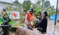 Vietnam Red Cross deploys emergency relief to flood-battered localities