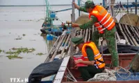 Dong Thap province tightens monitoring of vessels at sea to tackle IUU fishing