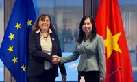 Vietnam, EU hold sixth Joint Committee’s session to advance partnership
