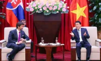 Viet Nam, Slovakia boost cooperation in security industry development