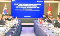 Vietnam, RoK seek new drivers to advance comprehensive cooperation