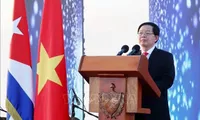 Deputy PM attends ceremony marking 65 years of Vietnam-Cuba diplomatic ties