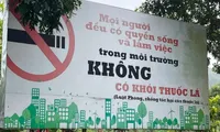 Viet Nam replicates “green zone” model without tobacco