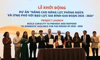 Project to strengthen Viet Nam's capacity to prevent domestic-violence launched