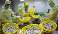 Aquatic exports poised to set new record in 2025