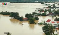 Documentary “Mud Traces”: Warmth of humanity amid the scars of a devastating flood