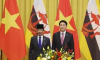 Brunei Sultan concludes state visit to Vietnam
