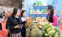 Vietnam needs change trade promotion activities to boost OCOP product exports: Experts