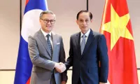 Vietnamese, Lao FMs co-chair 12th political consultation