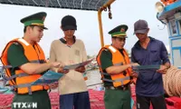 An Giang reviews fishing vessels to combat IUU fishing