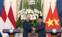 70 years of Vietnam – Indonesia relations: Similarities become strategic strength