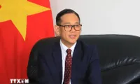 Vietnam – Algeria ties deepen after upgrade to strategic partnership: Ambassador