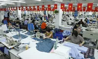 Strengthening intellectual property safeguards to sustain export markets