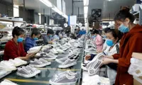 Footwear-leather industry seeks new drivers to sustain growth