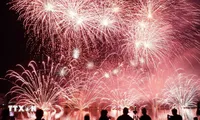 Da Nang announces theme of signature international fireworks festival