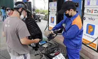 Petrol prices fall, diesel rise in January 22 adjustment
