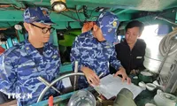 Ho Chi Minh City steps up IUU fishing crackdown