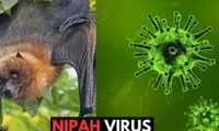 Health sector steps up preparedness against Nipah virus disease
