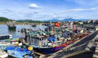 IUU fishing combat: Quang Ninh completes fishing licence issuance ahead of schedule
