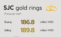 Infographic: Gold bar and ring prices hit record on January 29
