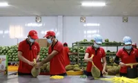 Quality helps Viet Nam retain agricultural market share in the US