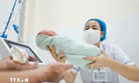Over 8,300 babies born in first four days of Tet holiday