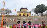 Tet flower street held for first time at Thang Long Imperial Citadel