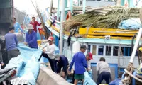 Gia Lai tightens fishing fleet management to combat IUU fishing