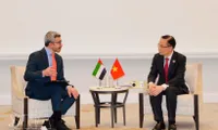 Vietnamese FM meets counterparts of UAE, Egypt and Türkiye