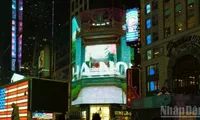 Images of Viet Nam shine at Times Square