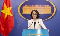 Vietnam opposes use of force against sovereign nations: Spokesperson