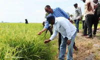 Can Tho shares agricultural transformation experience with Zambia