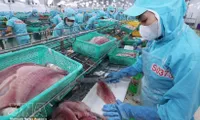 Agro-forestry-fishery exports: Proactive risk response needed to sustain growth