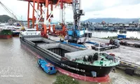 At least 10% reduction in pilotage service fees offered for all Vietnamese-flagged vessels