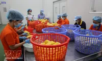 Vietnam’s food sector urged to move up global value chains