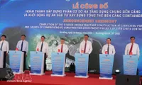 Da Nang aims to become attractive destination on global maritime map