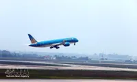 Vietnamese airlines adjust flight networks from April to optimise efficiency