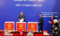 National Election Council confirms eligibility of 16th National Assembly deputies