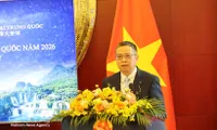 Vietnam–China cooperation committee meeting helps deepen stable, substantive bilateral ties